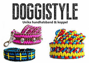 sponsor_doggistyle