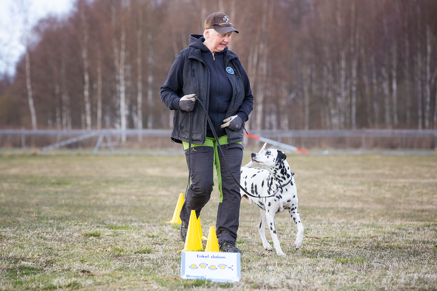 Rallylydnad – Sunne Brukshundklubb